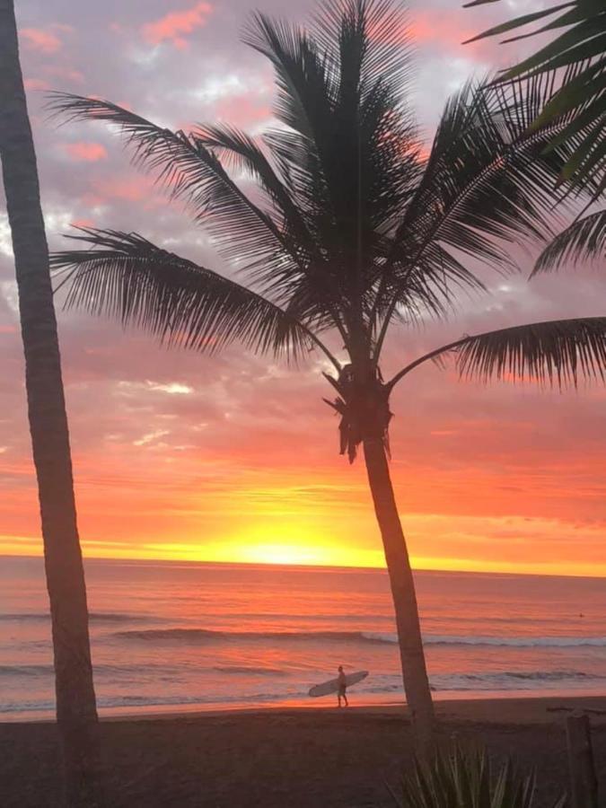 The Backyard Beachfront Hotel Jaco Luaran gambar