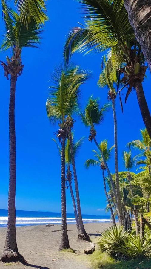 The Backyard Beachfront Hotel Jaco Luaran gambar